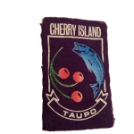 Embroidered_Patches_9-removebg-preview